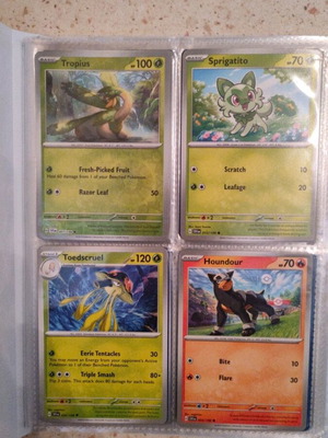 Pokemon Scarlet Violet Svi en 16 single cards new