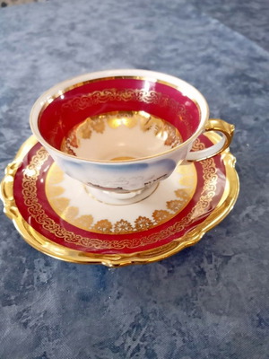 Rudolf Wachter Bavaria Germany collectible cup and saucer 1927-1970