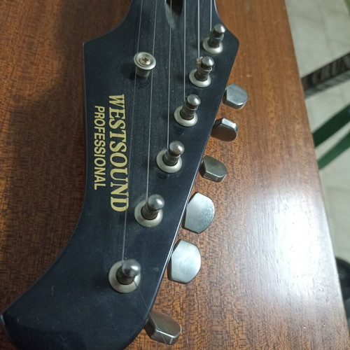Westsound Professional electric guitar with case