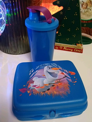 Tupperware toast container and cup with spout new