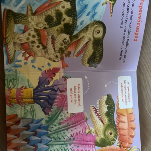 The Friends Our Dinosaurs children's book like new