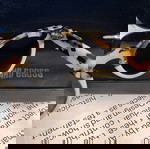  γυαλιά ηλίου Cutler and Gross ιταλικά