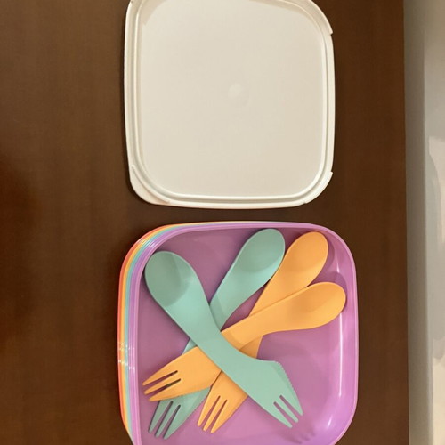 Tupperware To Go Picnic Plate set with lid, mint lilac orange salmon