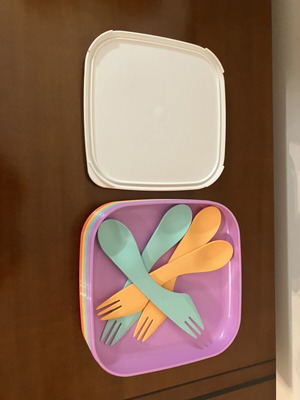 Tupperware To Go Picnic Plate set with lid, mint lilac orange salmon