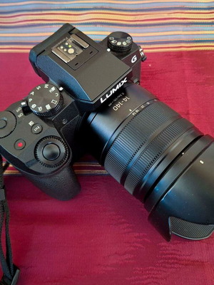 Panasonic Lumix DMC-G70 + 14-140mm