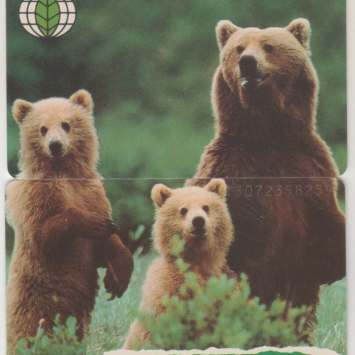 German phone cards puzzle bears used, pack of 2
