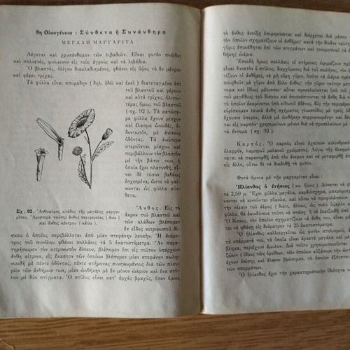 Phytologia Textbook 1964 used for Gymnasium 2nd Grade