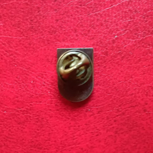 Bruchsal Collectible Metal Lapel Pin used