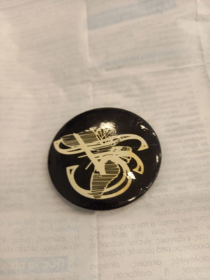 Pin accessory used, multicolor