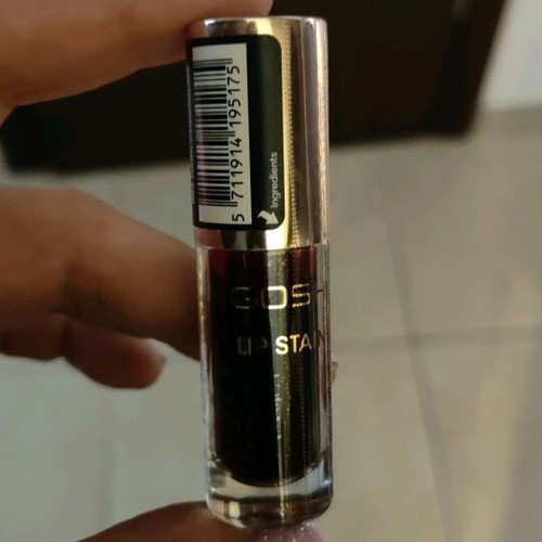 Lip stain Gosh dark chocolate new, sealed and closed