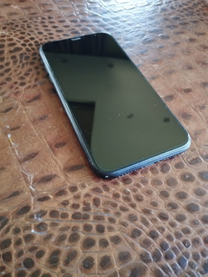 Apple iPhone XR, black, 64GB, 87% battery health, with case