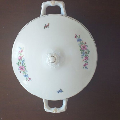 Czechoslovakian porcelain dinnerware set like new with replaced plates