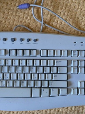 Microsoft Internet Keyboard used, PS/2 port
