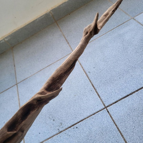 Large Amazon aquarium root used