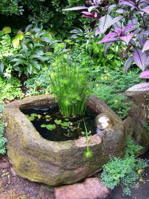 Water Garden Kit with Aquatic and Floating Plants for Mini Pond