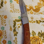 Folding pocket knife