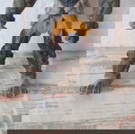  Φιγουρα Gormiti Geolap Rock Agrom Pyrite