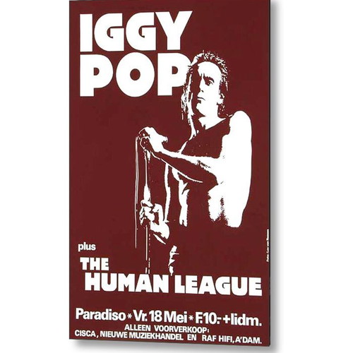 Iggy Pop poster new, international music scene 20x30 cm