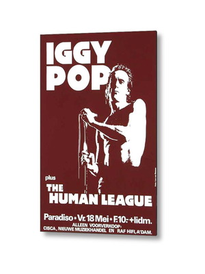 Iggy Pop poster new, international music scene 20x30 cm