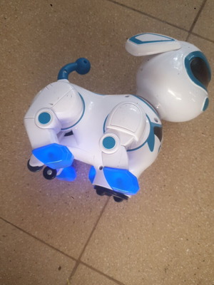 Kids electronic dog toy