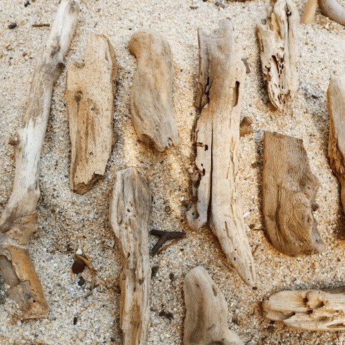 Driftwood pieces for decoration and crafts