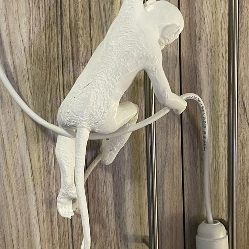 Ceiling light Monkey with LED bulb new 3D printed design