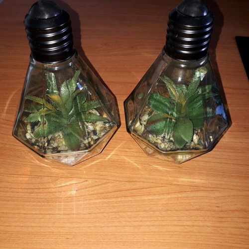 Decorative lighting like new with glass, pebbles and artificial plant