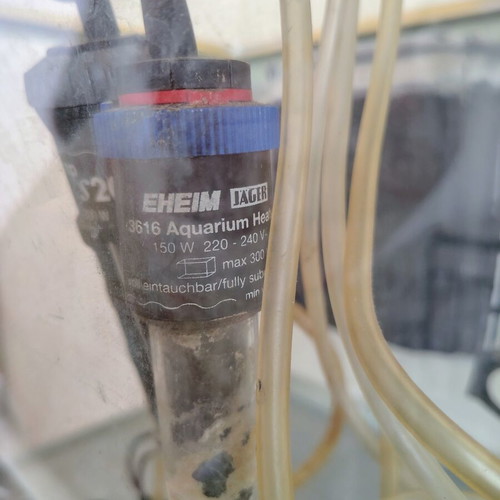 Aquarium 100lt used with accessories
