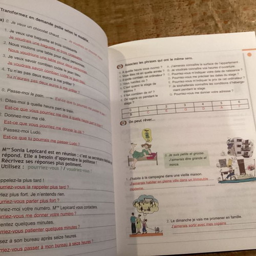 Ludo et Nefeli Grammaire Communicative du francais teacher's book like new