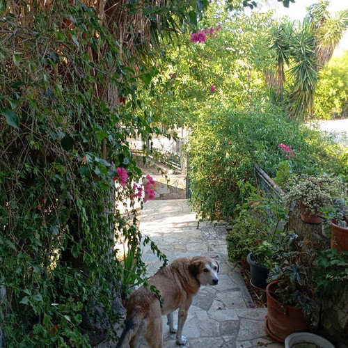 Apartment ground floor 145 sqm with garden and parking in Argolida