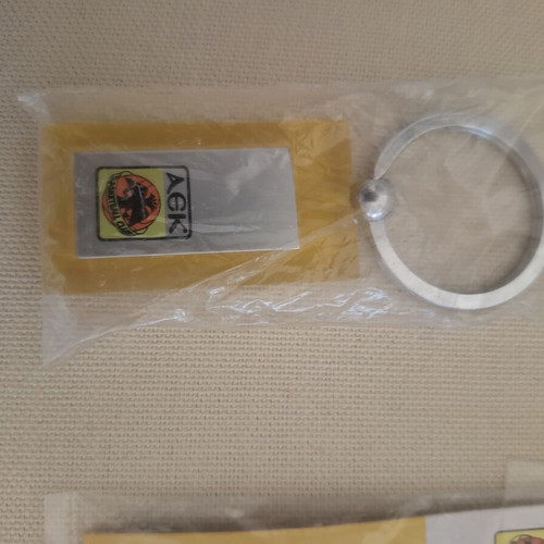 AEK pin and keychain new, authentic collectible