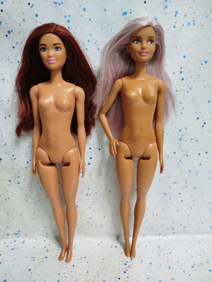 Barbie Scientist και Singer χωρίς ρούχα, πακέτο με μικρά ελάττωματα