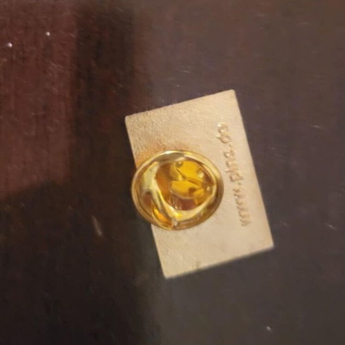 Pin in excellent condition