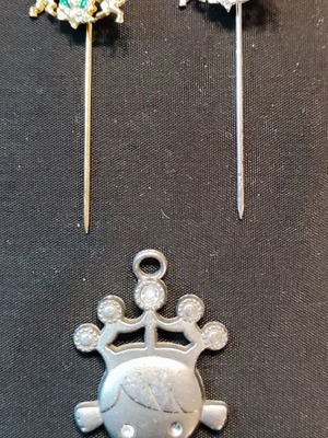 Pins and pendant like new, gray