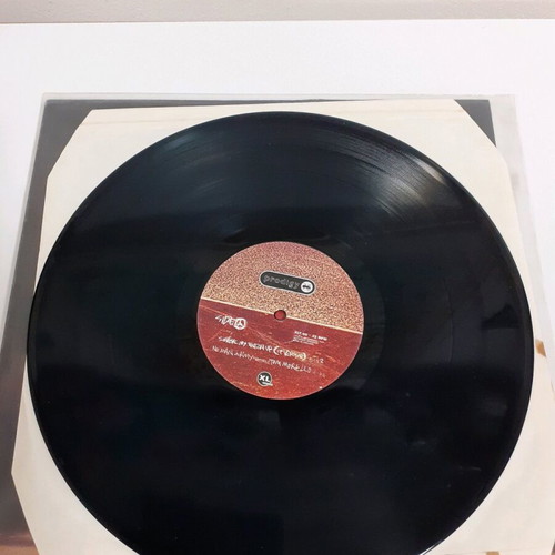 Prodigy Smack My Bitch record used