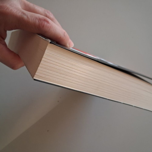 The Woman in the Library book like new