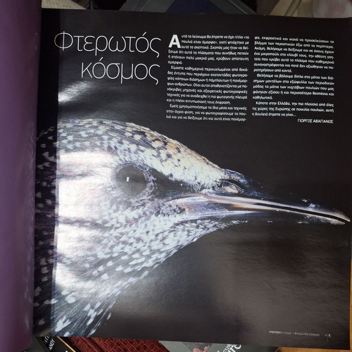 Fterotos Kosmos book about the beauty of birds by G. Avagianou