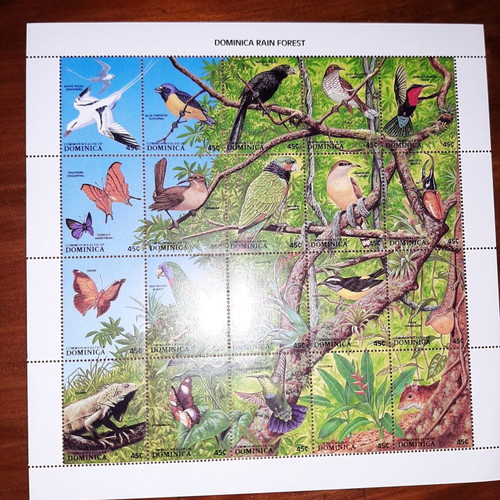 Philatelic card Dominica rain forest new with unmounted stamps