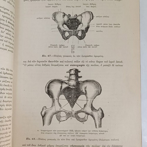 Anatomy of Man used, 1914, by N.P. Michalakeas