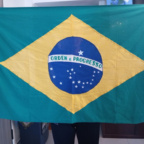 Brazilian flag new