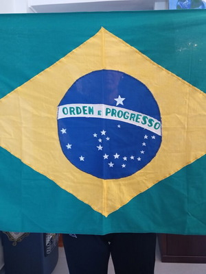 Brazilian flag new