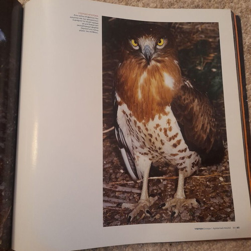Kyriarhoi ton Aitheron used science book
