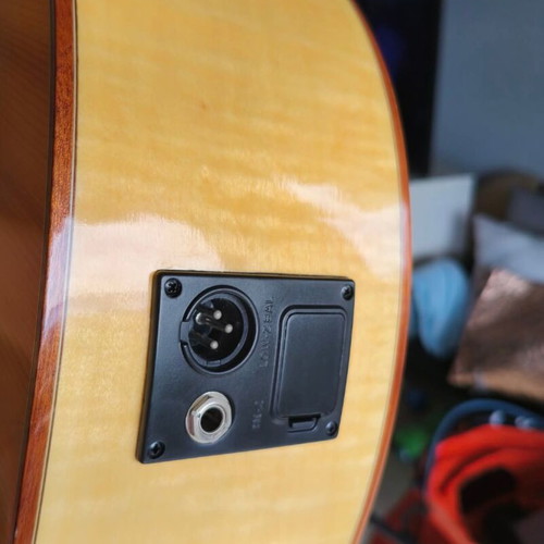 Ashton electroacoustic guitar with built-in tuner and dual outputs