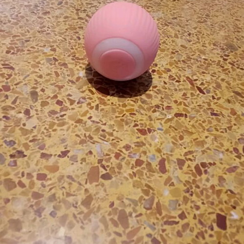 Cat toy new, sack with moving ball