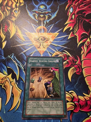 Harpies' Hunting Ground 1st edition like new