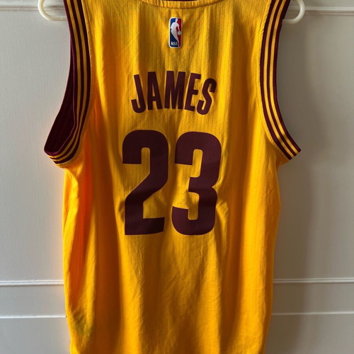 Lebron James #23 Cleveland Cavaliers Adidas Swingman jersey like new