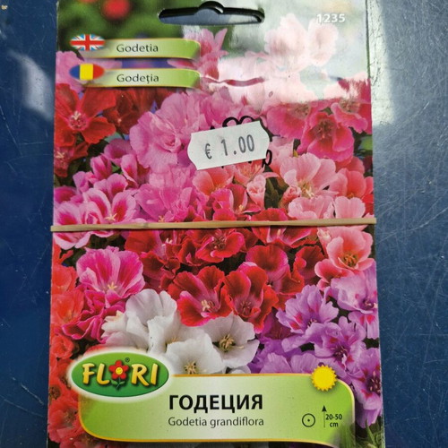 Petunia new seeds with great variety