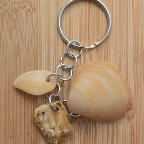 Real shell key chain, handmade