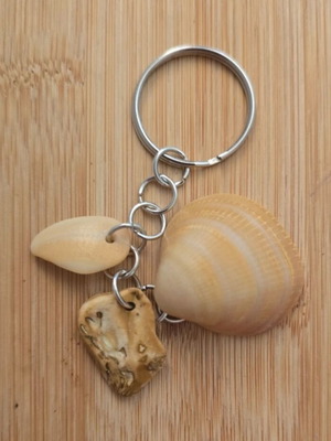 Real shell key chain, handmade