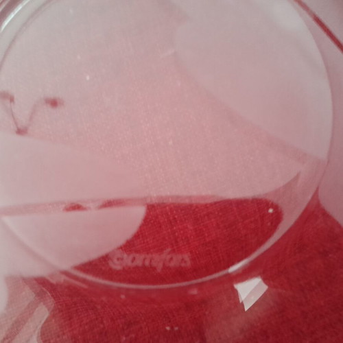 Orrefors Sweden Crystal Bowl Frosted Leaf Discontinued, new